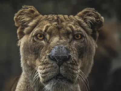 什么是八字命理